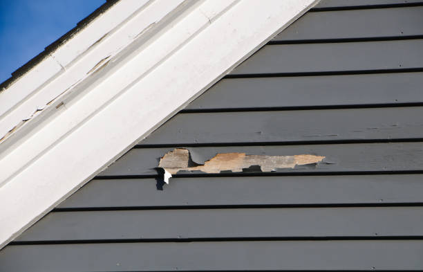 Affordable Siding Repair and Maintenance Services in Combee Settlement, FL